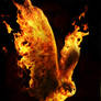 Bird of Fire