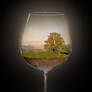 Landscape in a glas - Autum