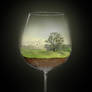 Landscape in a glas - Spring