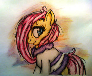 Fluttershy dressing-gown
