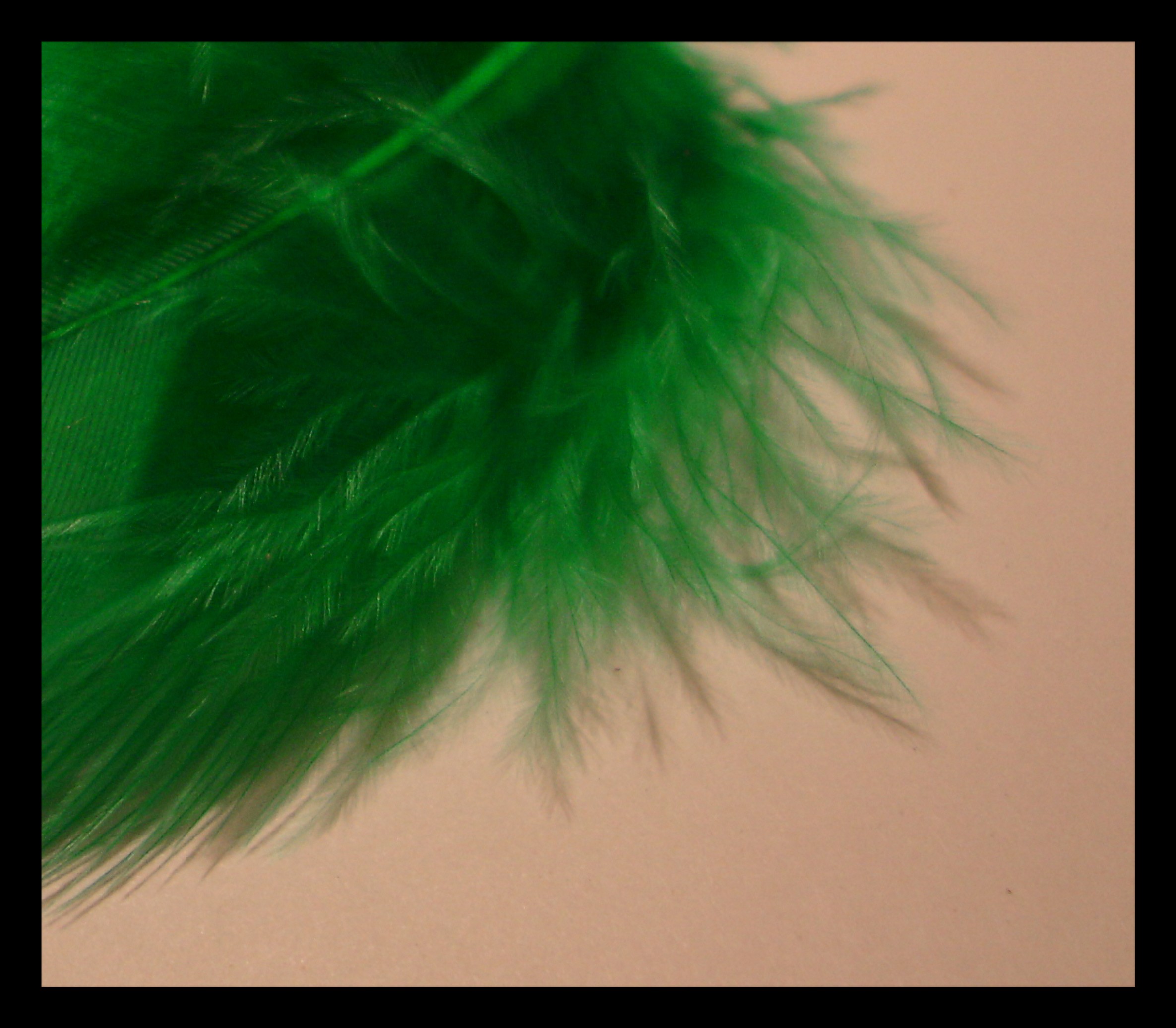 Green and Feathery