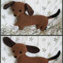 Dachshund