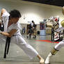 Ryu Vs. White Ranger