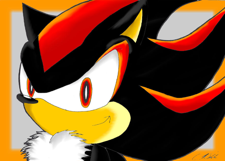 Shadow Portrait by Shadow-Clone19 on DeviantArt