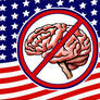 Stupid American Flag
