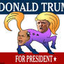 DONAD TRUMP FOR PRESIDENT