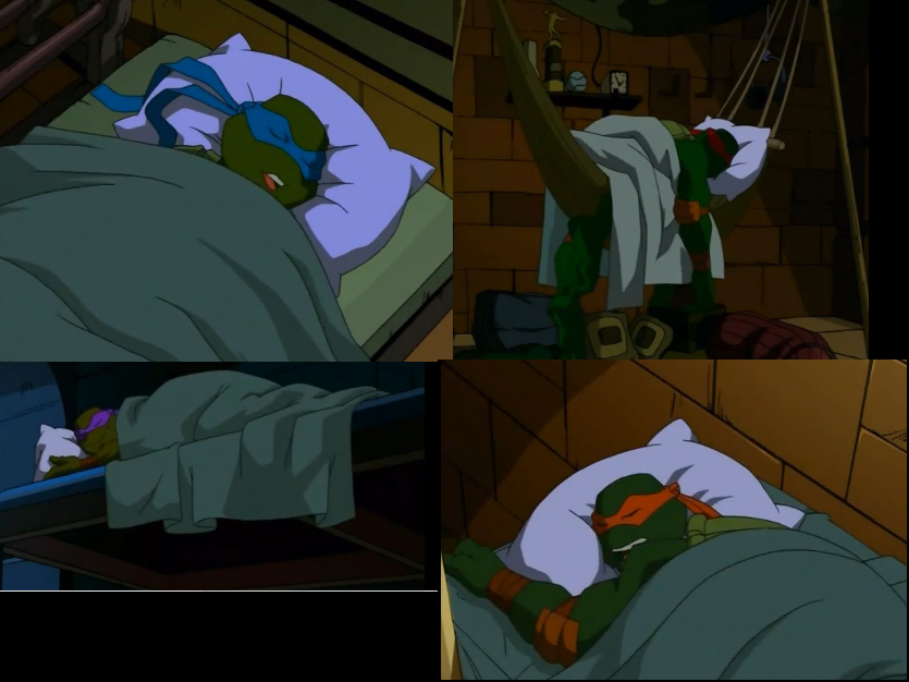 sleeping turtles