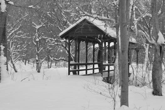 Winter Bridge