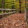 Nature Trail Bridge