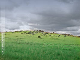 la gran sabana