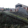 Collapsed Building Roof
