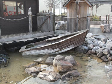 Wrecked Boat