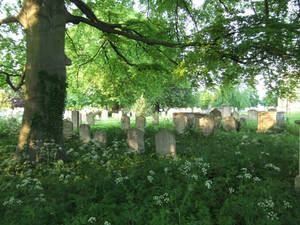 Overgrown Cemetery