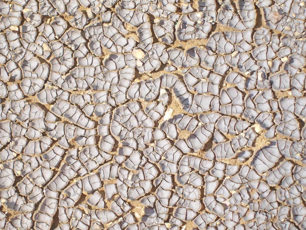 Cracked Mud 01 Texture