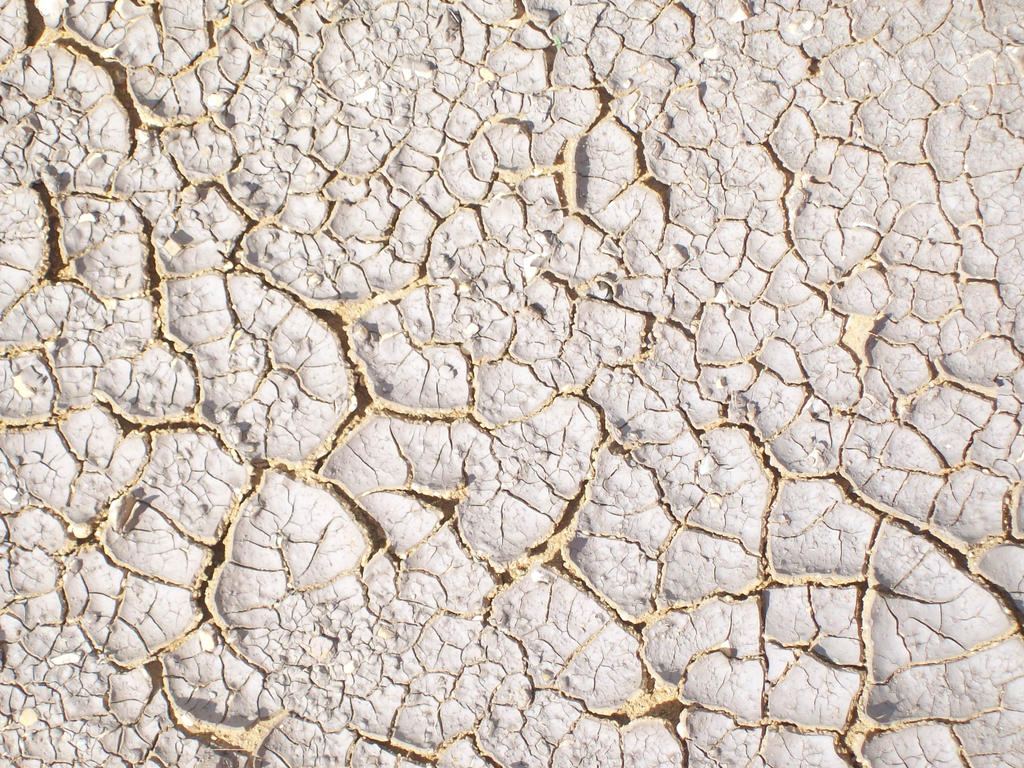 Cracked Mud 02 Texture