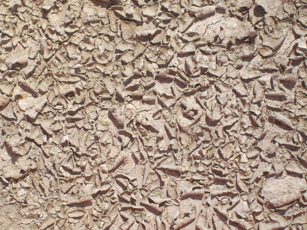 Cracked Mud 03 Texture: Peeling