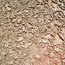 Cracked Mud 04 texture: Peeling