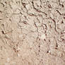 Cracked Mud 05 Texture