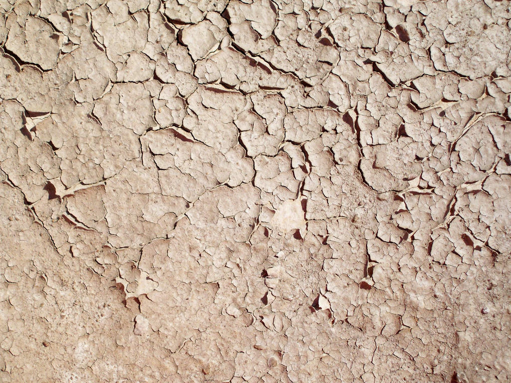 Cracked Mud 05 Texture