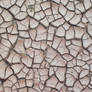 Cracked Mud 08 Texture