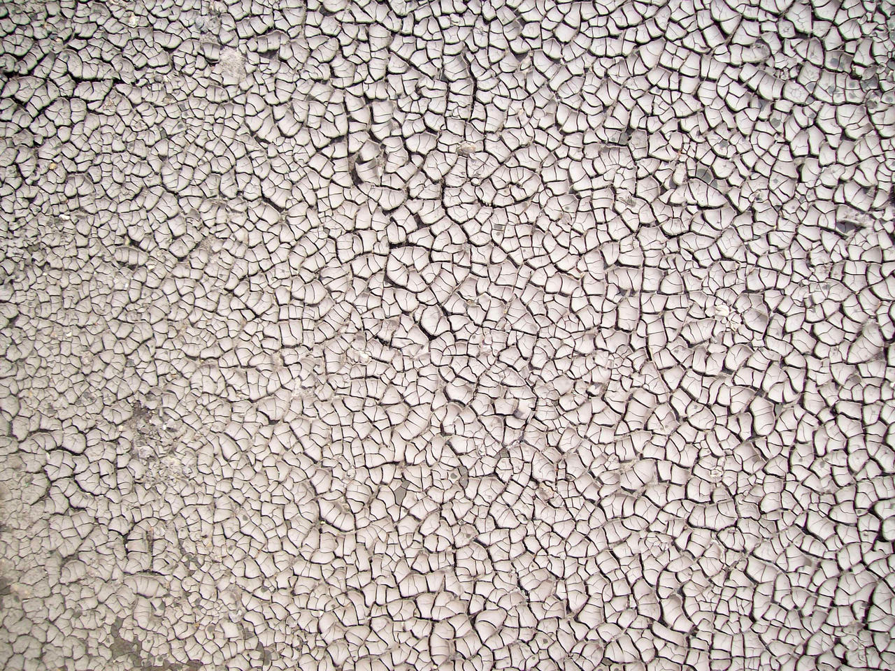 Cracked Mud 09 Texture