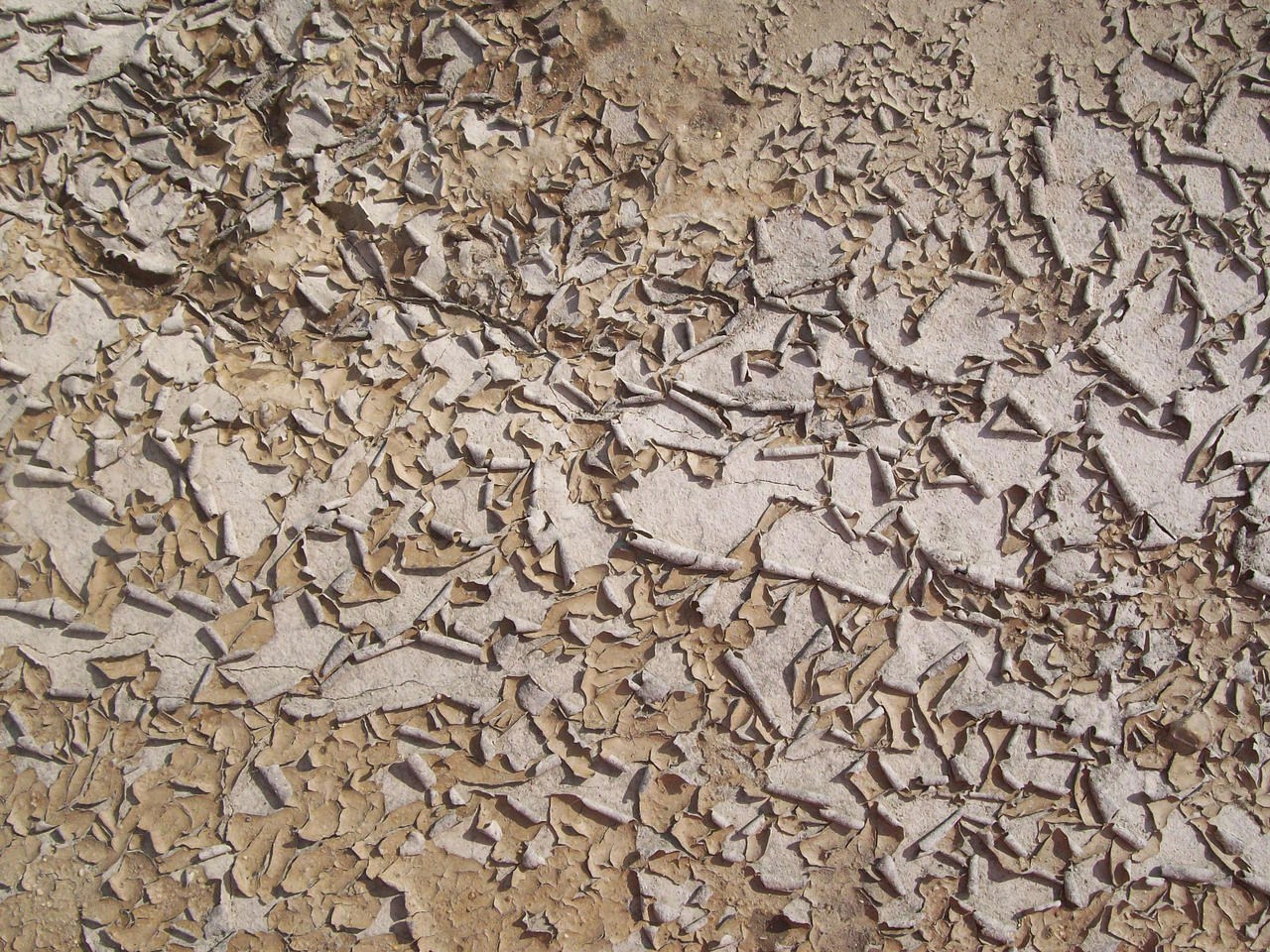 Cracked Mud 10 Texture: Peeling