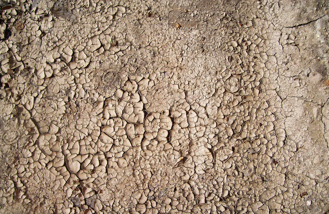 Cracked Mud 11 Texture