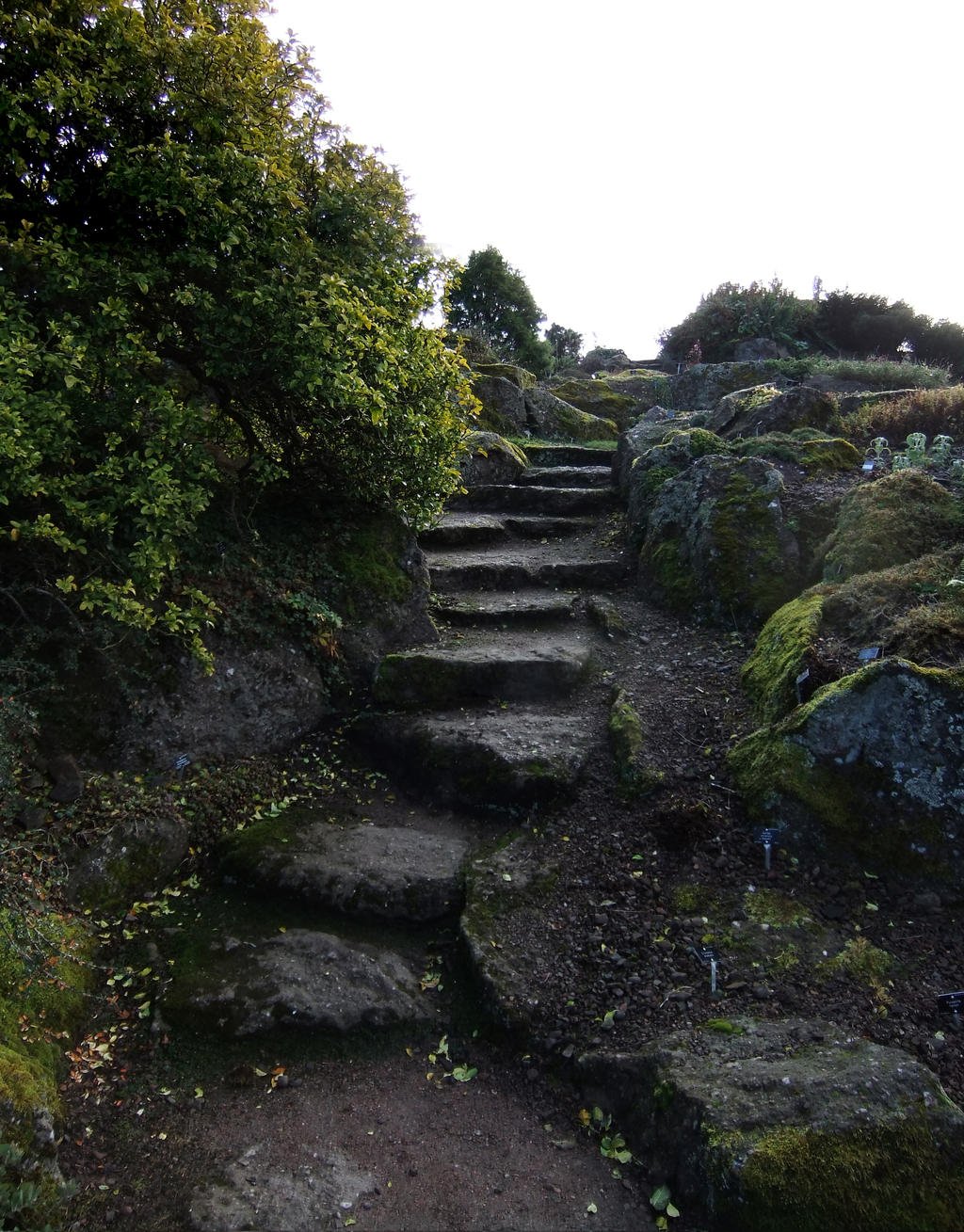 Stone Steps by fuguestock