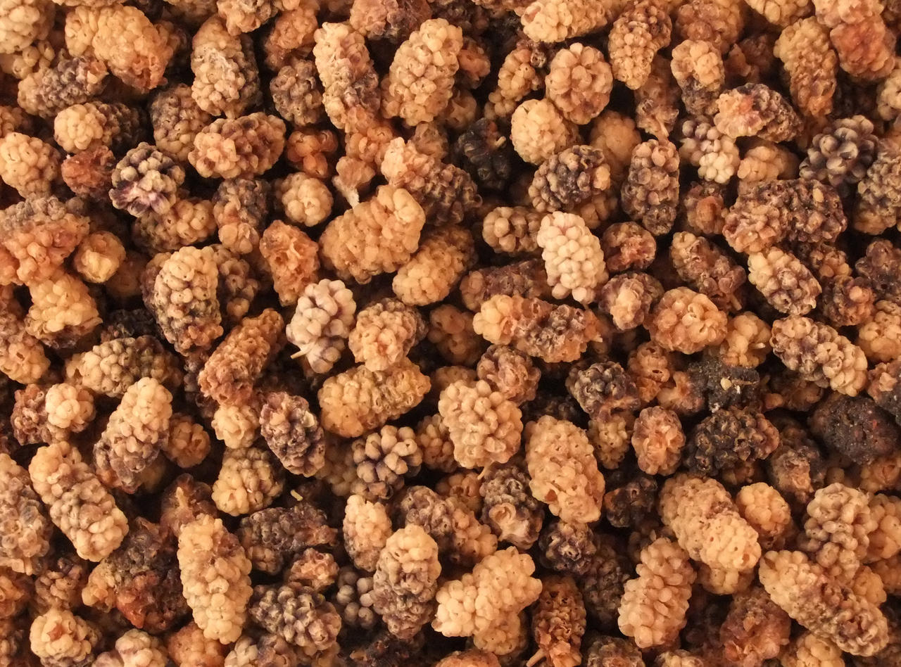 Dried Mulberries