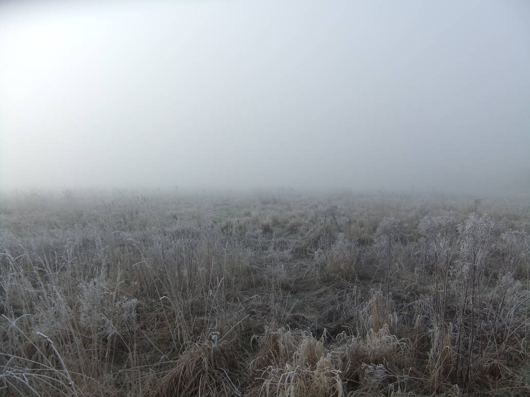 In the Mist 04: Field by fuguestock