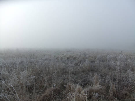 In the Mist 04: Field