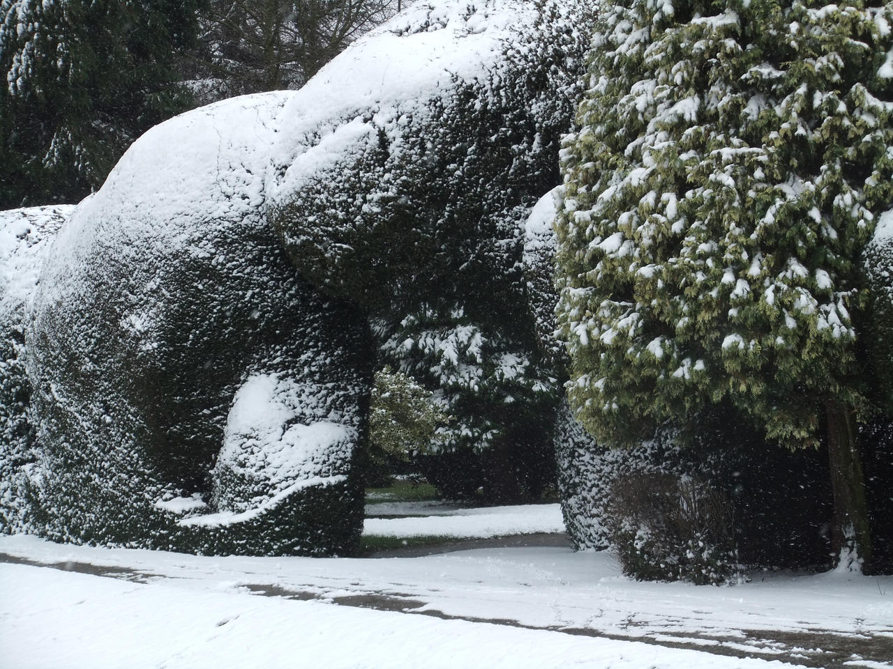 Snow Garden 04 - Hedge Archway