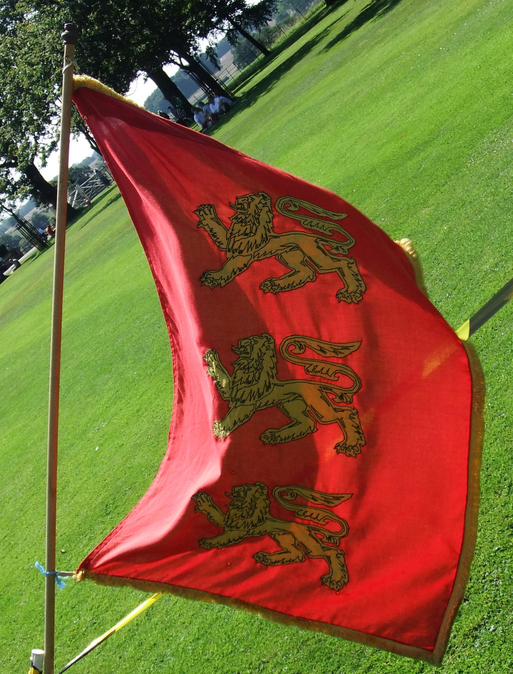 Billowing Three Lion Flag 2