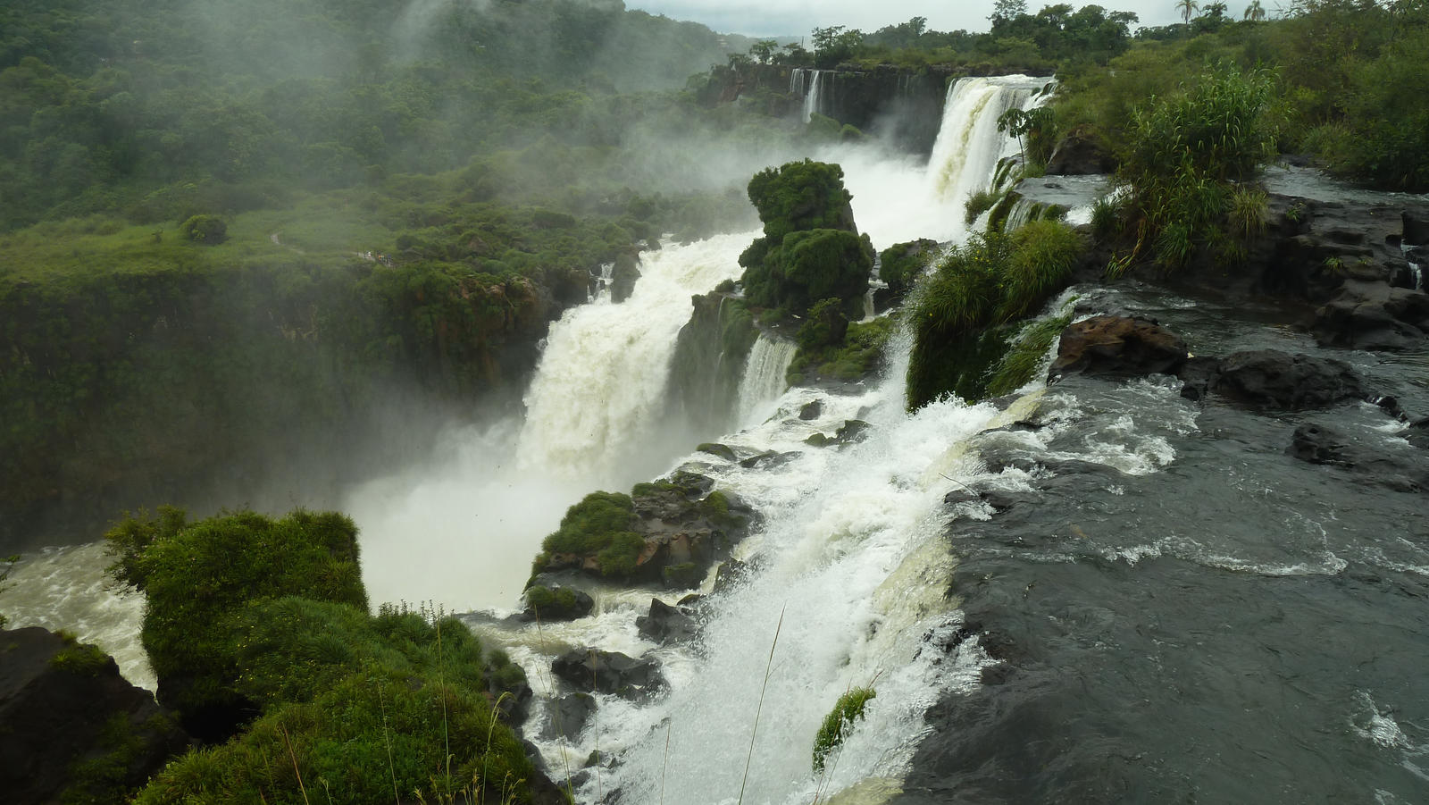 Jungle Falls 6
