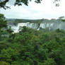 Jungle Falls 5