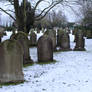 Snow Graveyard 07