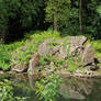 Rocky Outcrop in Pond 1