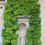 Statue Surrounded by Ivy 1
