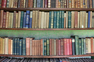 Book Shelves by fuguestock