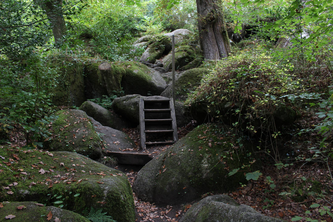 Fairy Forest 25 - Rocky Path by fuguestock