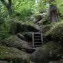 Fairy Forest 24 - Rocky Path