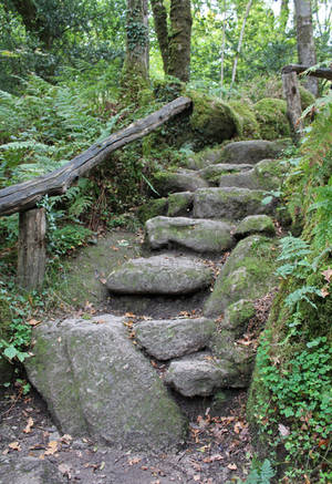Fairy Forest 13 - Steps by fuguestock Fairy Forest 13 - Steps by fuguestock