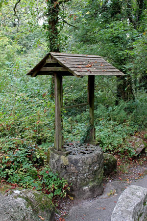 Forest Well 1 by fuguestock Forest Well 1 by fuguestock