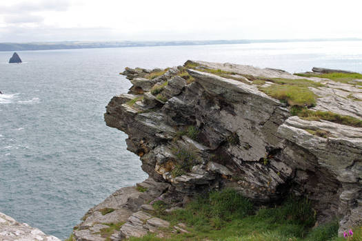 Rugged Coastline 16 - Clifftop