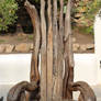 Wooden Throne 1