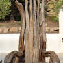 Wooden Throne 1