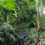 Jungle Scenes 02