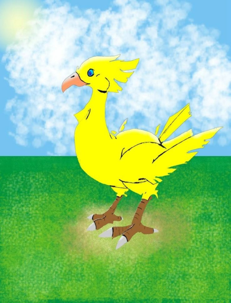 Chocobo