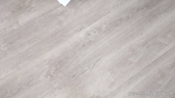 Lady Dove Pool BTS GIF by TOOFARBOUND on DeviantArt