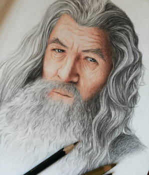 Gandalf, the gray